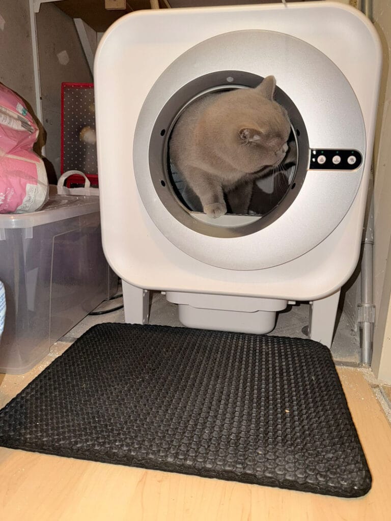 Review Vigo kattenbak
